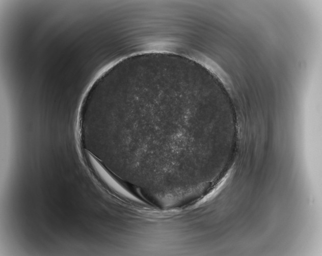 X0000098071077200804110918