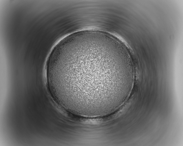 X0000098071078200804110918