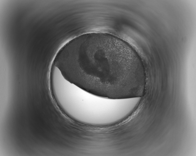 X0000098071079200804110918