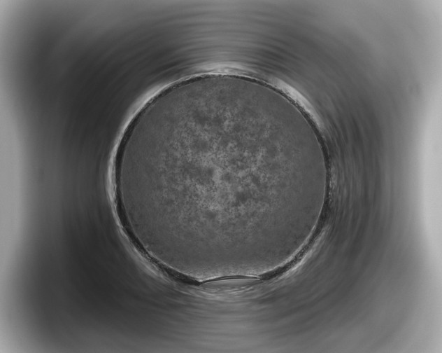 X0000098071082200804110918