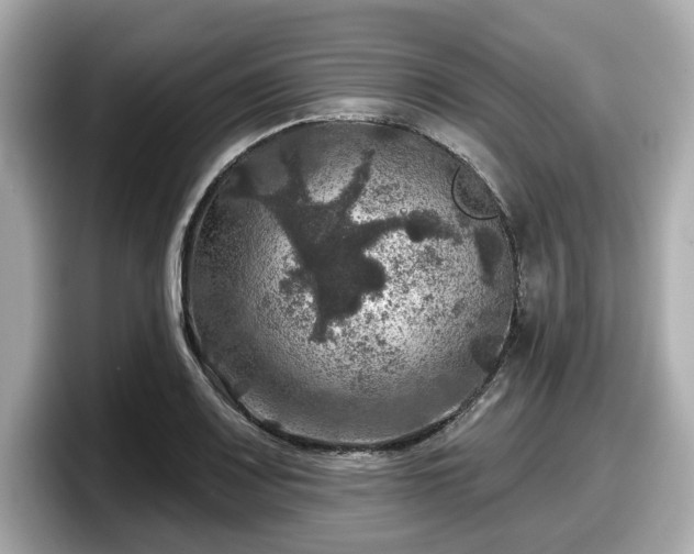 X0000098071083200804110918