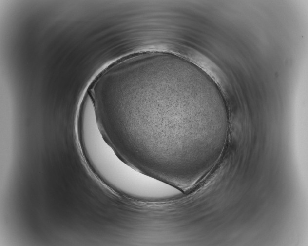 X0000098071084200804110918