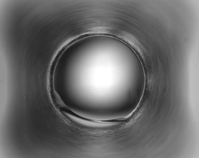 X0000098071085200804110918