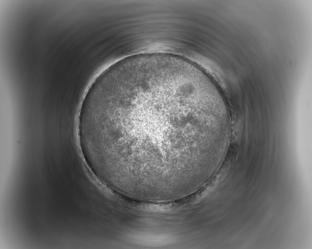 X0000098071086200804110917