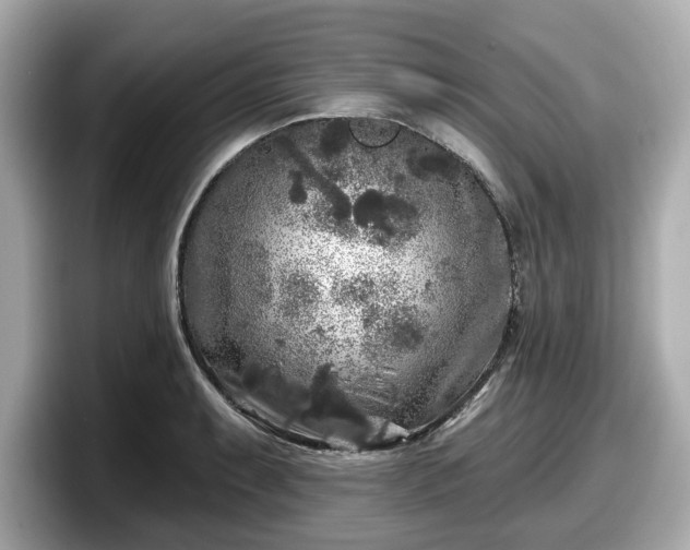 X0000098071087200804110917