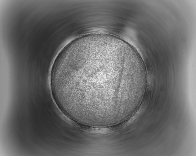 X0000098071090200804110917