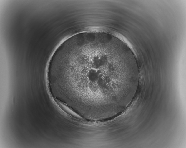 X0000098071091200804110917