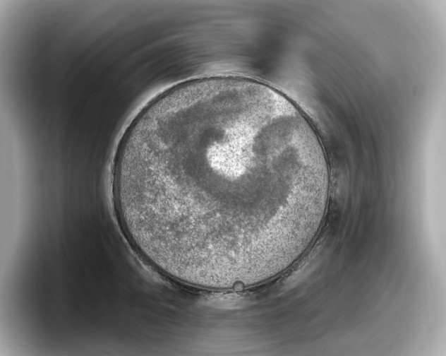 X0000098071094200804110917