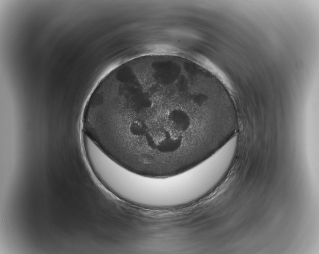 X0000098071095200804110917