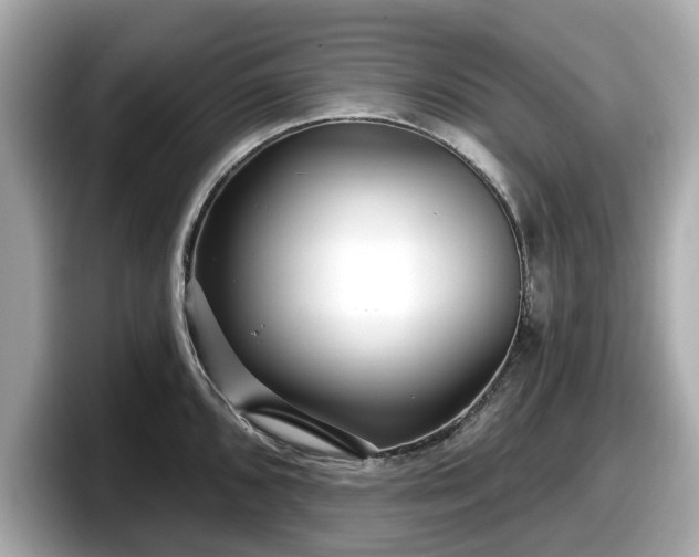 X0000098071096200804110917