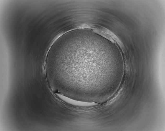 X0000098071097200804110917