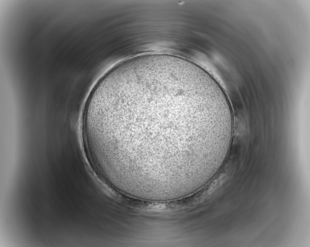 X0000098071098200804110917