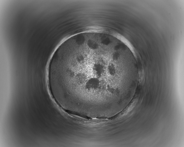 X0000098071099200804110917