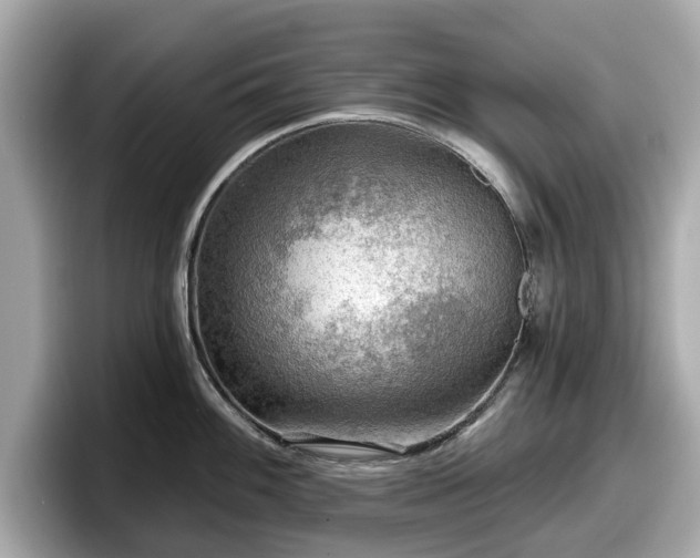 X0000098071100200804110917