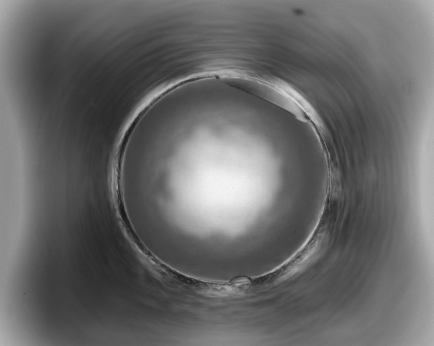 X0000098071101200804110917