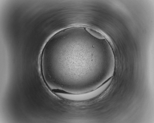 X0000098071102200804110917