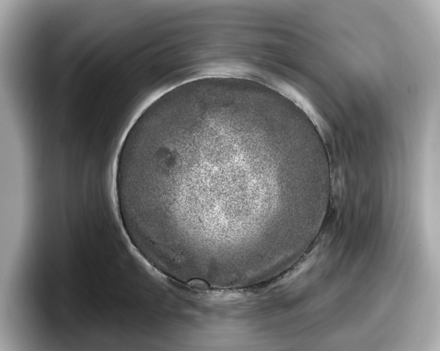 X0000098071103200804110917