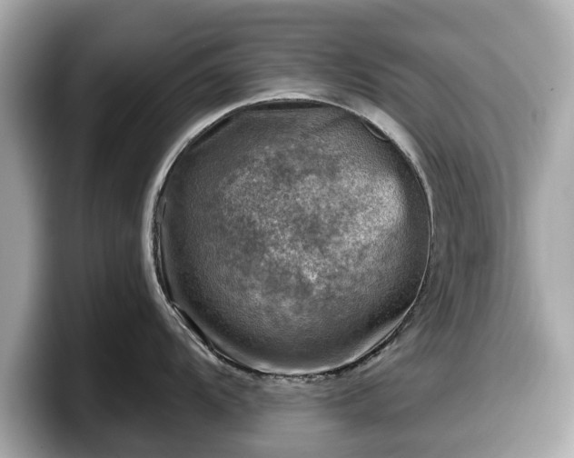 X0000098071104200804110917