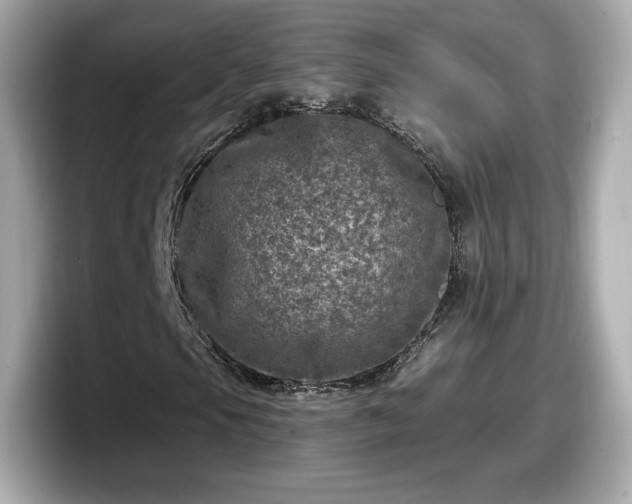 X0000098071105200804110917