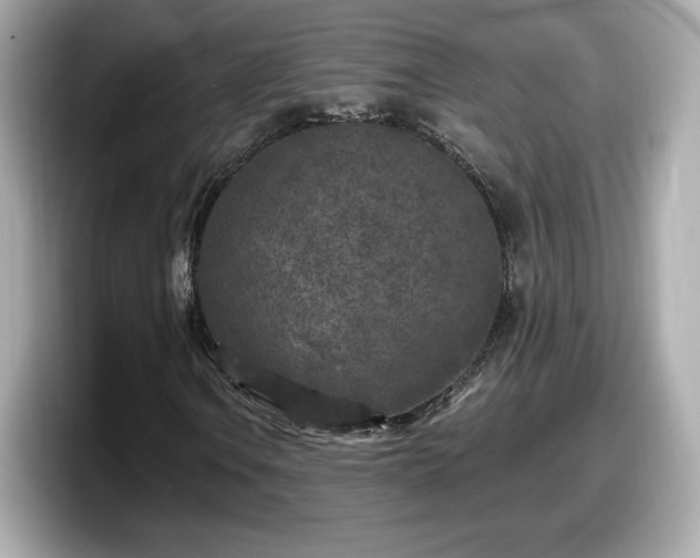 X0000098071106200804110917