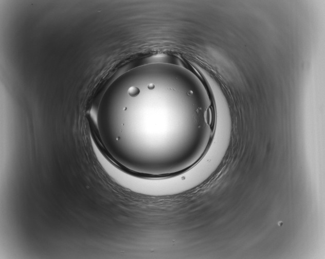 X0000098071107200804110917