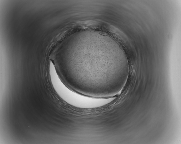 X0000098071108200804110917