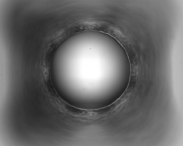 X0000098071109200804110917