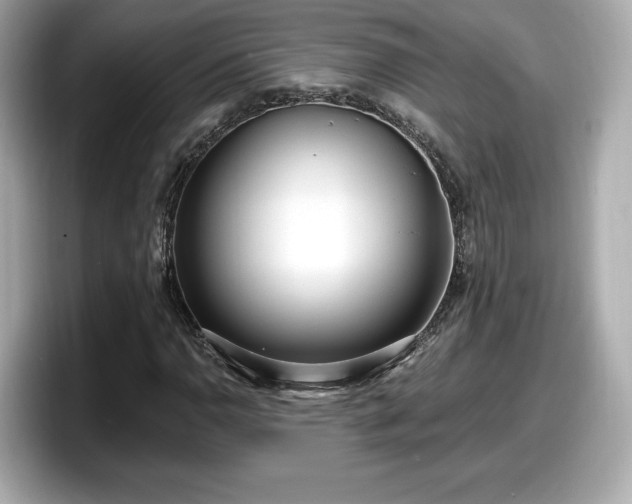 X0000098071110200804110917