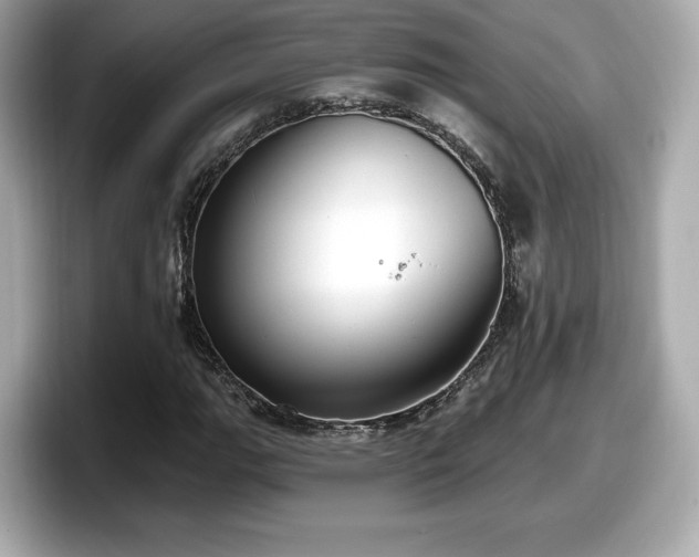 X0000098071111200804110917