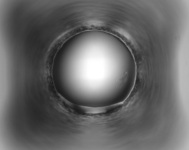 X0000098071112200804110917