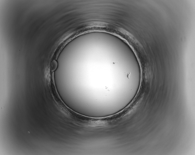 X0000098071113200804110917