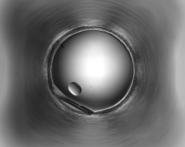 X0000098071114200804110917