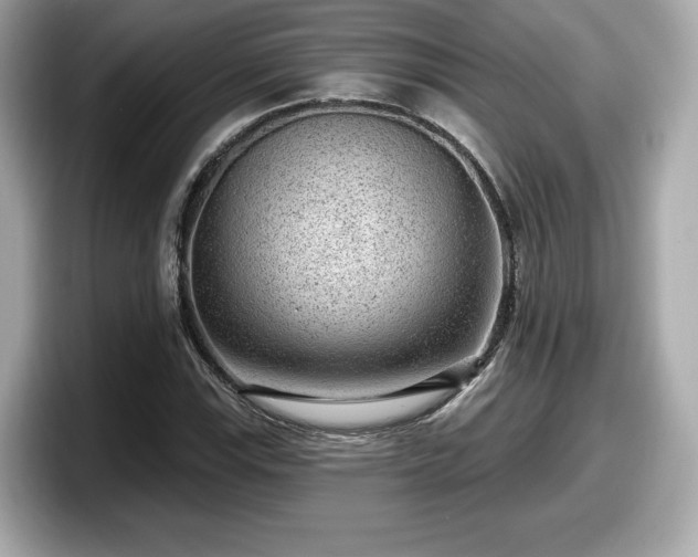 X0000098071115200804110917