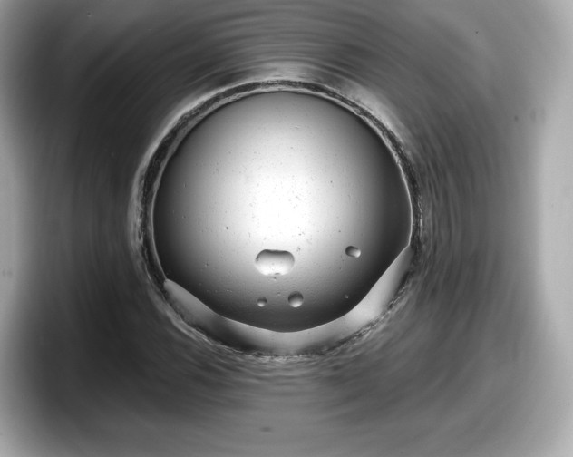 X0000098071116200804110917