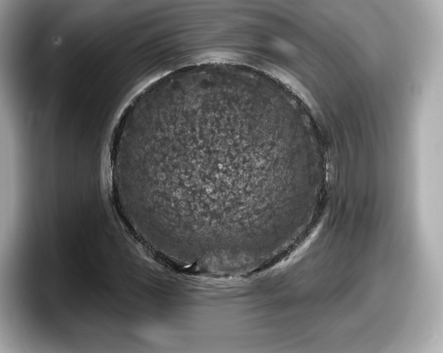 X0000098071117200804110917