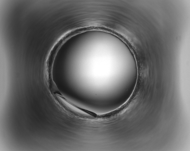 X0000098071118200804110917