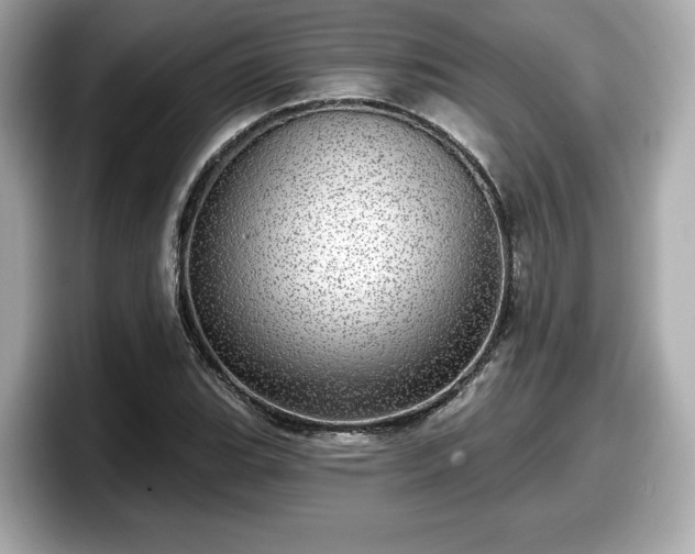 X0000098071119200804110917