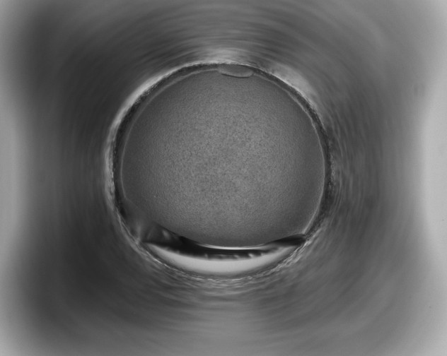 X0000098071120200804110917