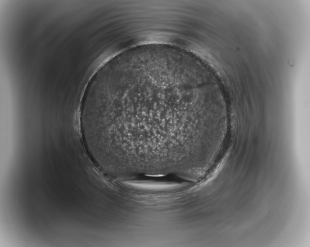 X0000098071121200804110917