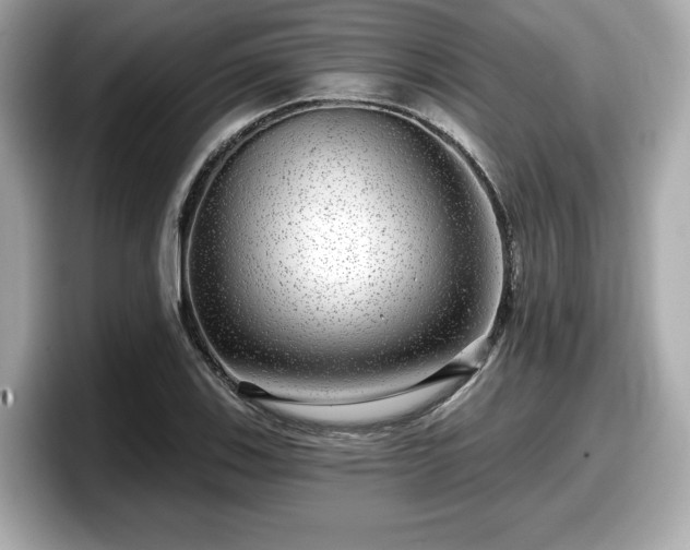 X0000098071123200804110917