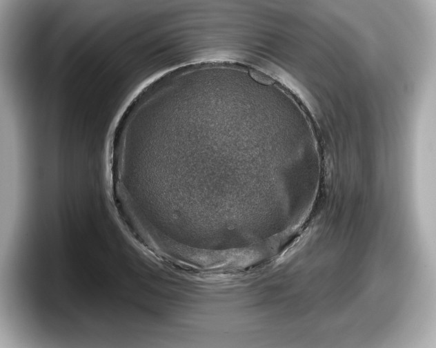 X0000098071124200804110917