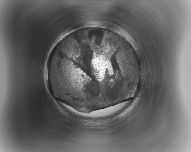 X0000098071125200804110917