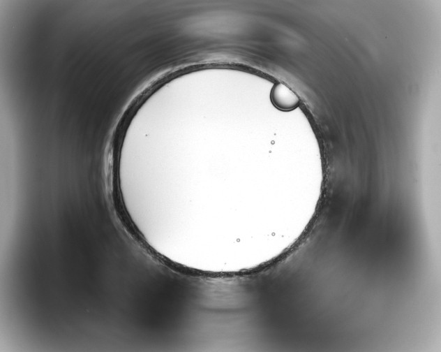 X0000098071126200804110917