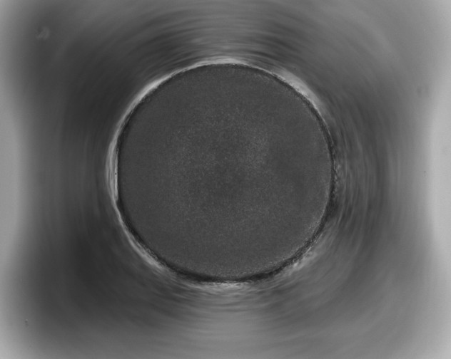 X0000098071127200804110917