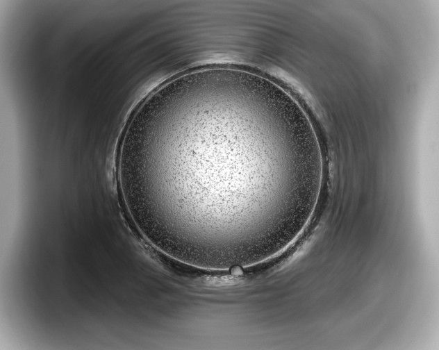 X0000098071129200804110917