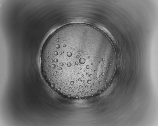 X0000098071130200804110917