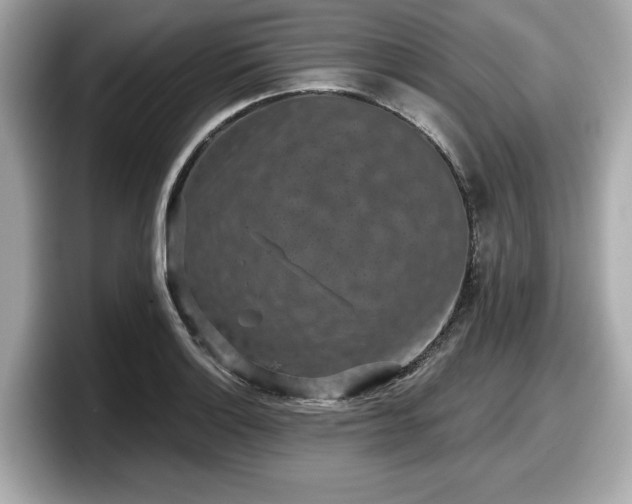 X0000098071132200804110917