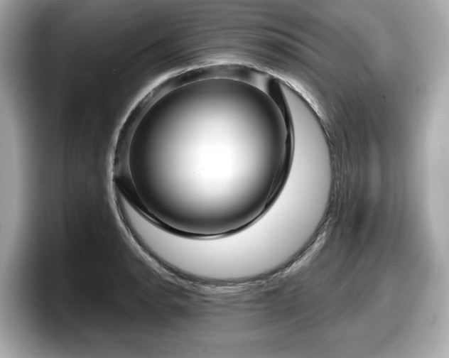 X0000098071134200804110917