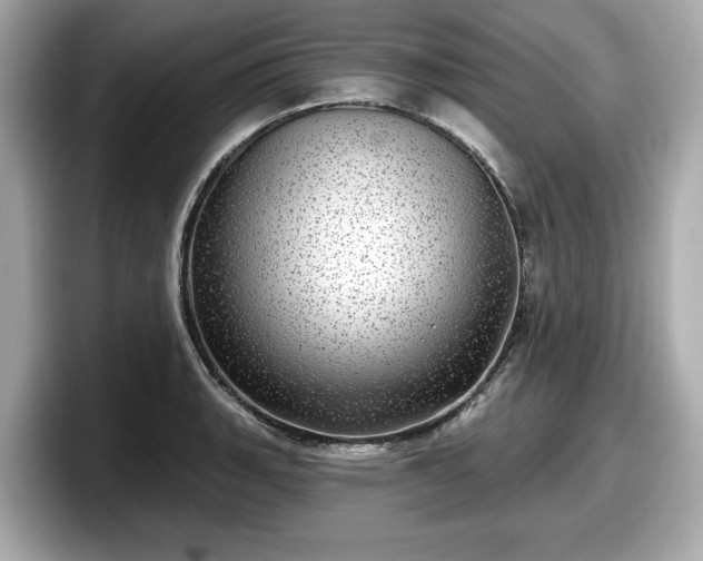 X0000098071135200804110917