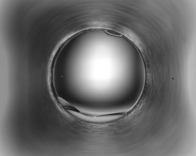 X0000098071136200804110917